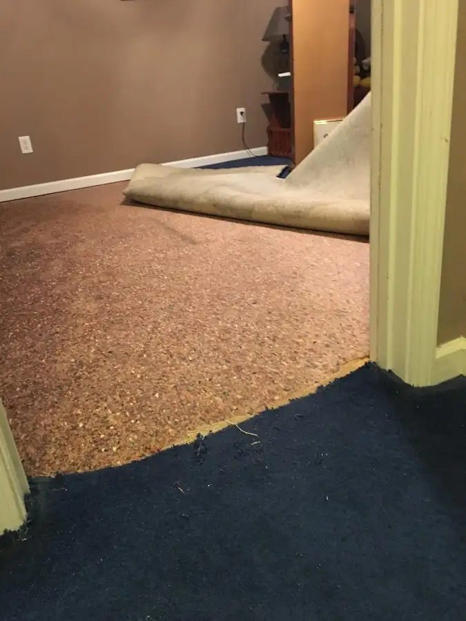 Carpet pad removal revealing water damage during Drying & Dehumidification in Scriba