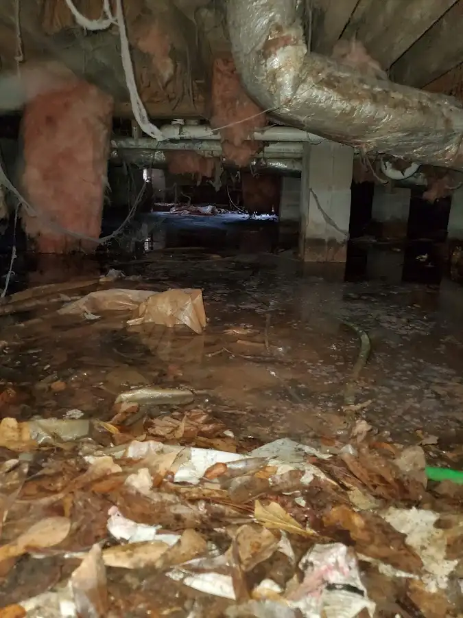 Crawl space flood assessment for Commercial Water Damage Restoration in Scriba