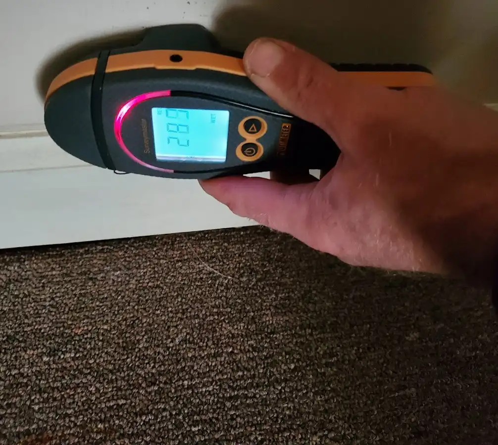 Moisture detection at baseboard during Burst Pipe Cleanup in Scriba
